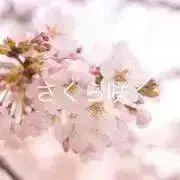 さくらの画像