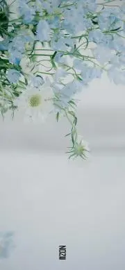 ♡の画像