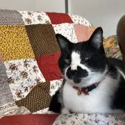Kの画像