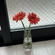 り