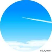 Shallの画像