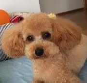 たいくんの画像