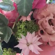 n0n0mama★プロフ必読の画像