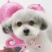 よしりん