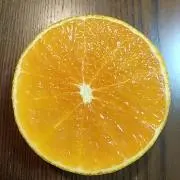 みきゃんの画像