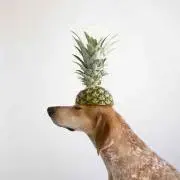 umiの画像