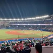 野球好き