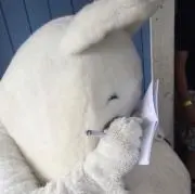 ありまるの画像