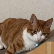 ゆうまい(^-^)vの画像