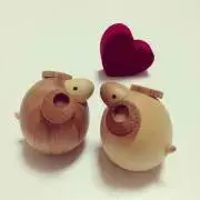 Ranunculusの画像
