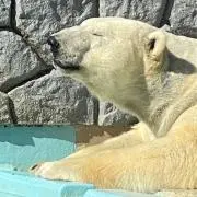 あっこあっこ（プロフご一読お願いします）の画像