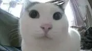 komatarouの画像