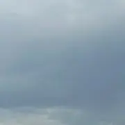 ひんの画像