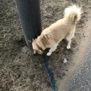 あつ