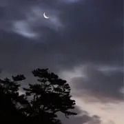 ran.の画像