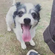 キナ坊