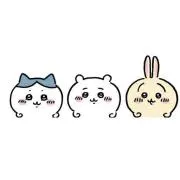 こっちゃんの画像