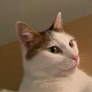 らら
