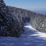 Nice-2-meet-uの画像