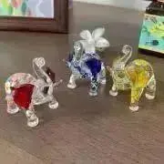 コハクの画像