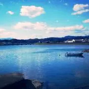 ponchanの画像