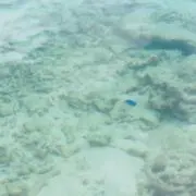 ℛ⃛の画像