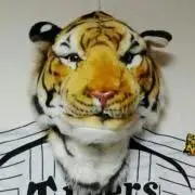 もも☆トラの画像