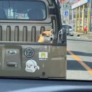 フィット