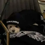 h♡の画像
