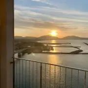 samoの画像