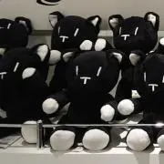 ミデの画像