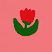 somnusTの画像