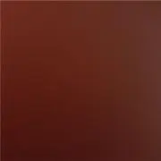 ねこの画像