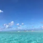 taka☆の画像