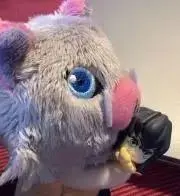 ぴーの画像