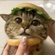 LE