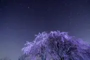 ウルリラ