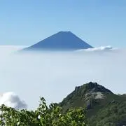 うららの画像