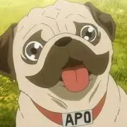 モカの画像