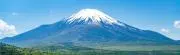 ふじの画像