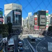 りゅうの画像