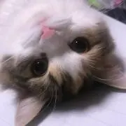 あやちゃん