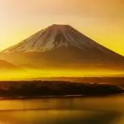 とらきちの画像