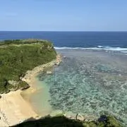 ぶんたの画像
