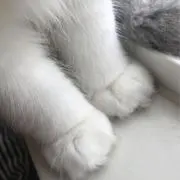naの画像