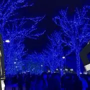 くどう プロフ必読/断捨離中の画像