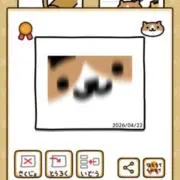 ちゃはち