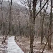 U.yの画像