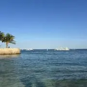 おしるこ