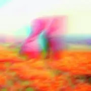 coxの画像